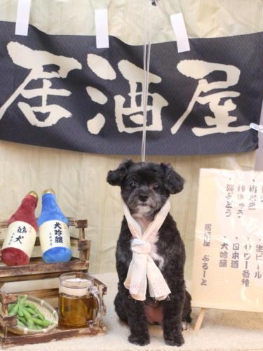 20240626ぷぅちゃん